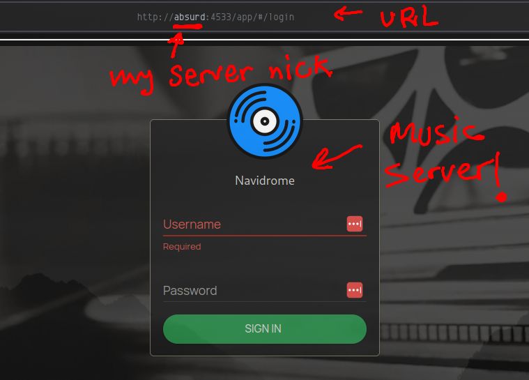 magic DNS